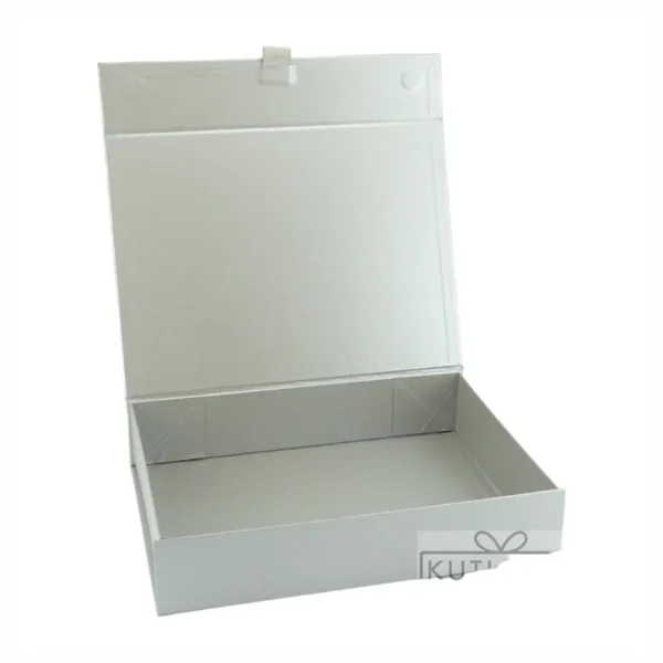 elegantna sreburna kutiq s magnitno zatvarqne 1